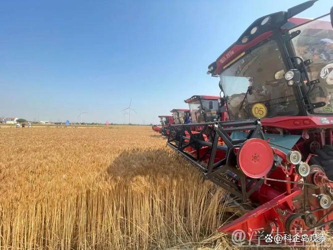 “三夏”里的新质生产力 “三夏”里的新质生产力