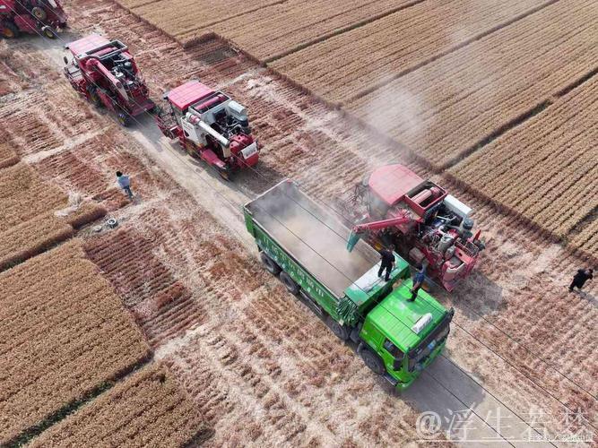 “三夏”里的新质生产力 “三夏”里的新质生产力